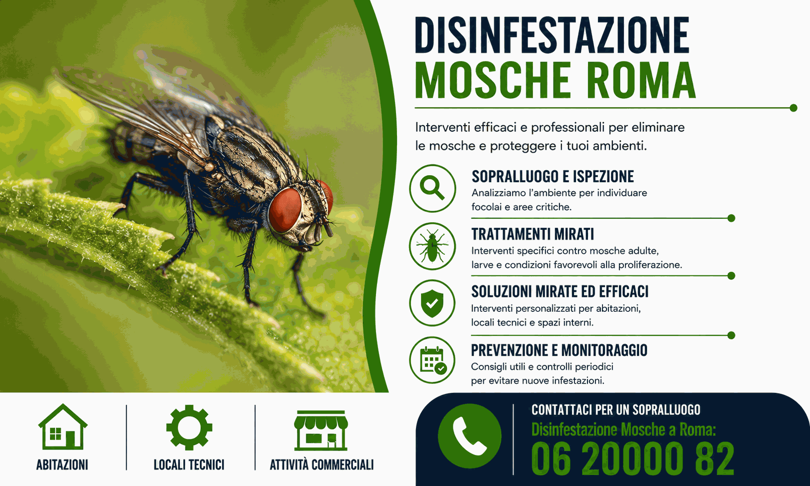 Disinfestazione Mosche