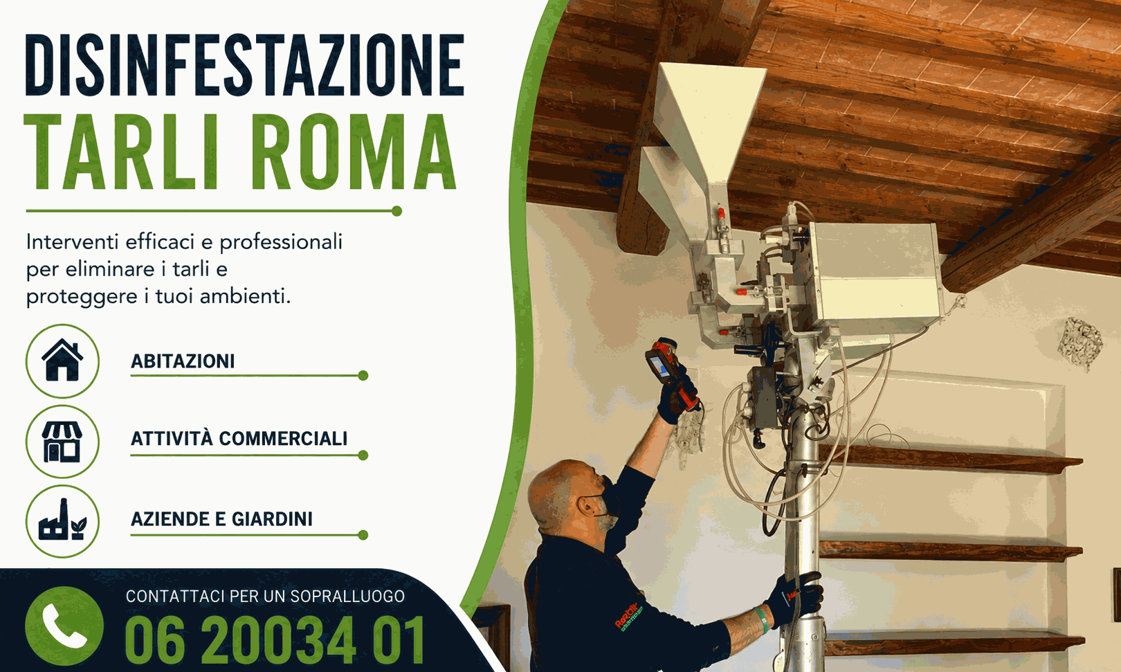 disinfestazione professionale tarli roma