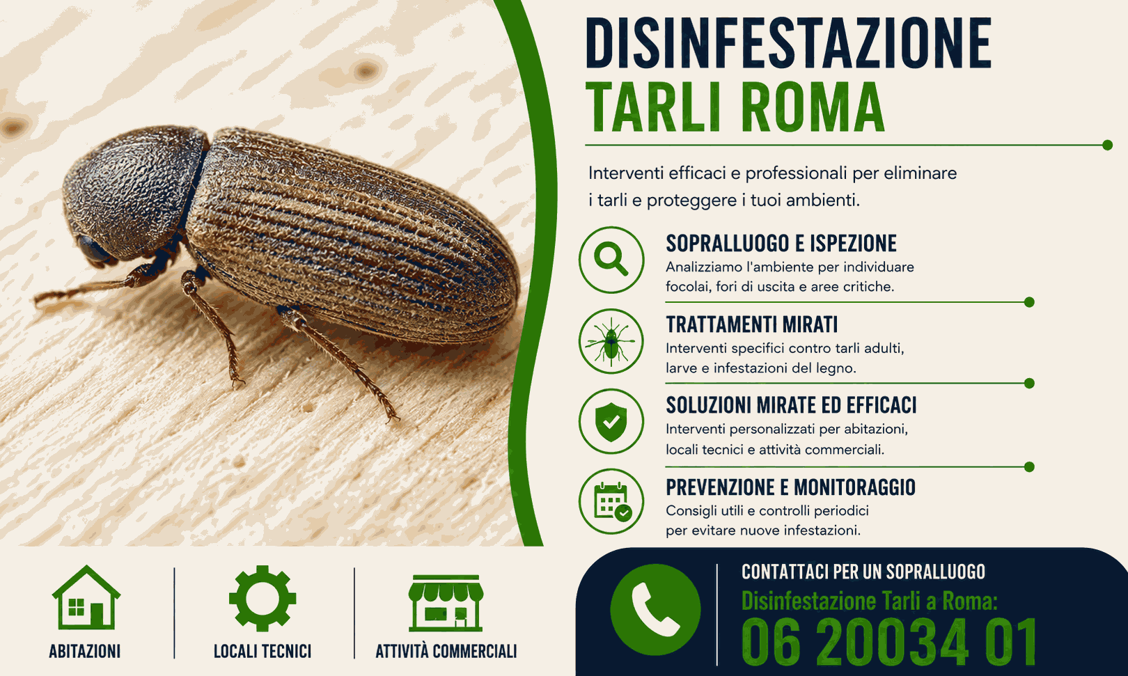 tarlo del legno