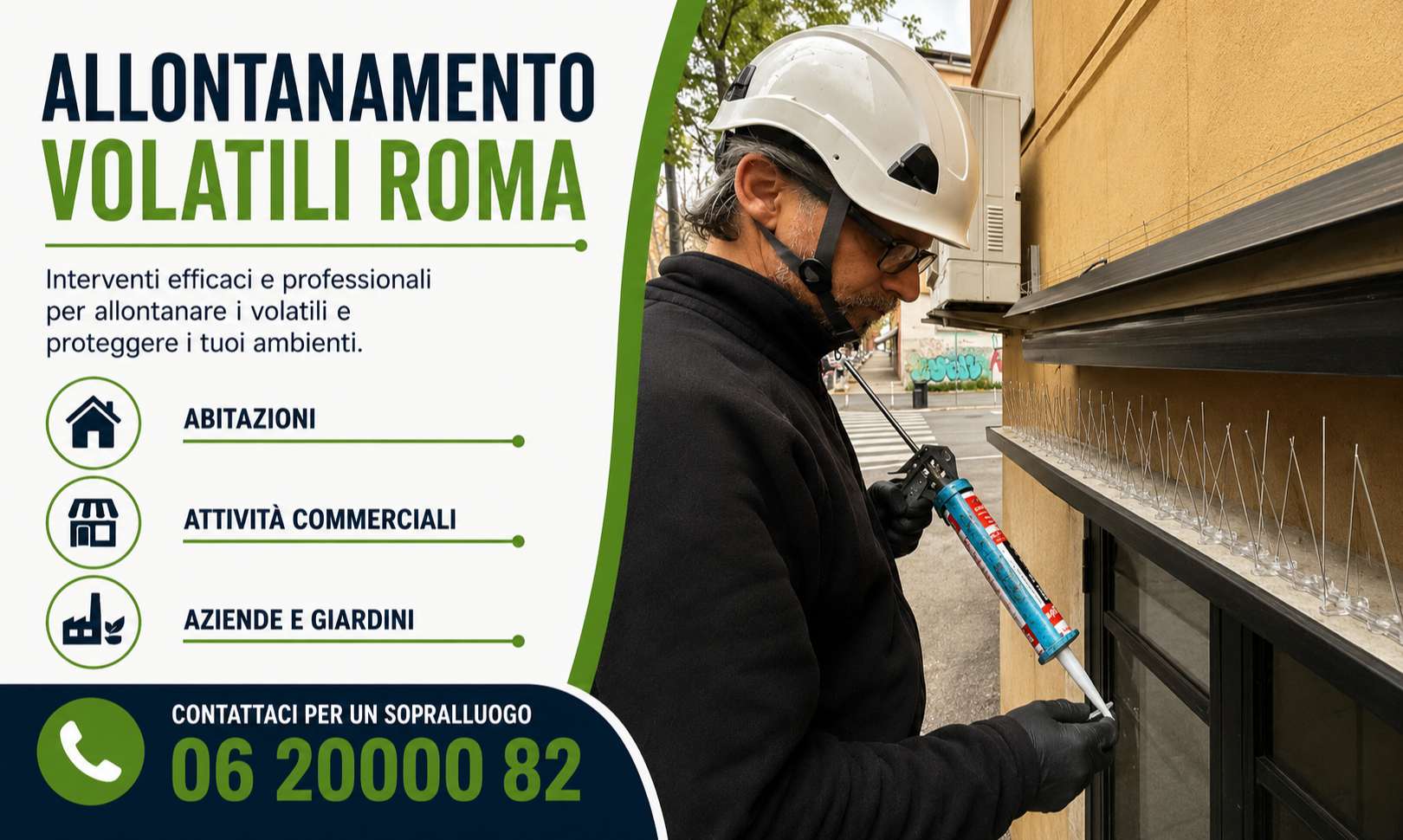 allontanamento-professionale-volatili-roma