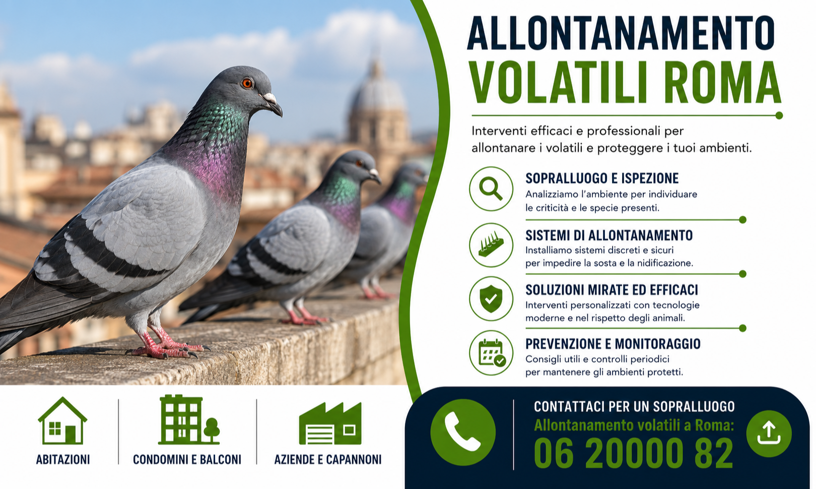 allontanamento-volatili-roma